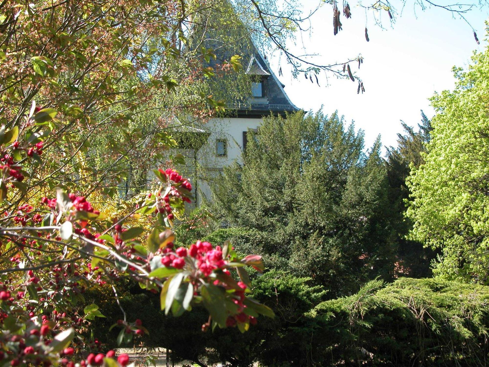Domaine De Beaupre - Hotel The Originals Relais Ґебвіллер Екстер'єр фото